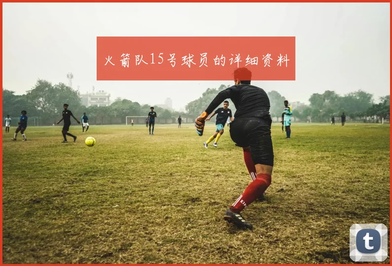 火箭队15号球员的详细资料