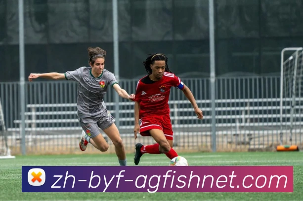 AG捕鱼王官网平台生态图