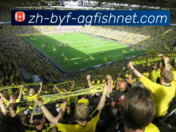 AG捕鱼王官网APP 封面图