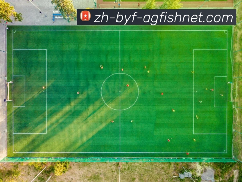 数据防护可视化