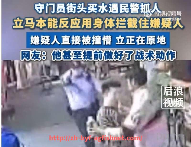 AG捕鱼王官网-2024-2025赛季法甲外援市场发展趋势分析